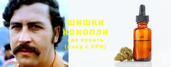 молекула духа Сафоново