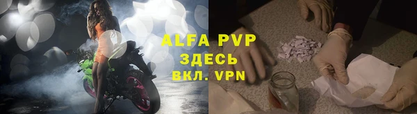 твердый Магас