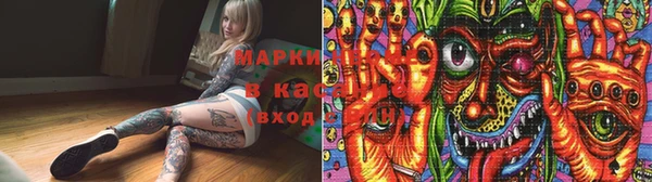 твердый Магас